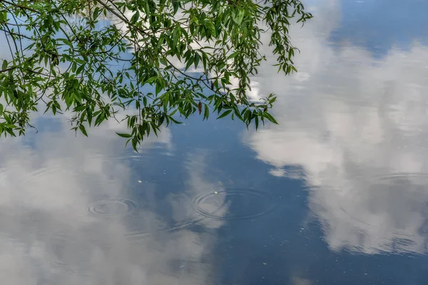 Woda chmury niebo gałęzie wierzby reflection — Zdjęcie stockowe