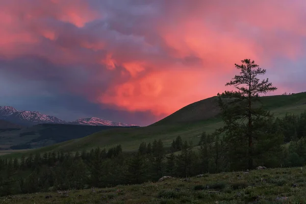 Lever de soleil montagnes nuages ciel forêt — Photo