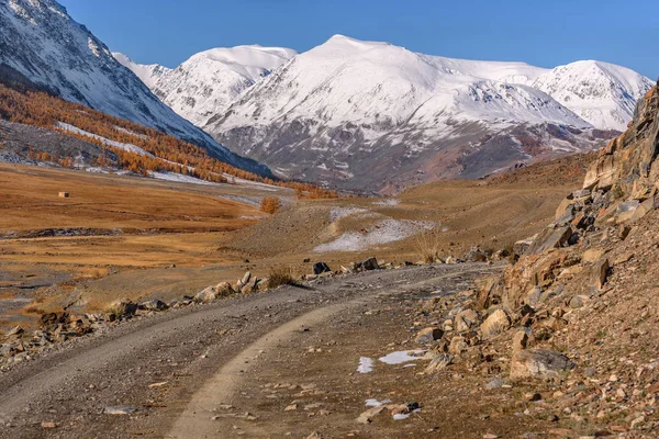 Berge Straße Lärche Herbst Schnee — Stockfoto