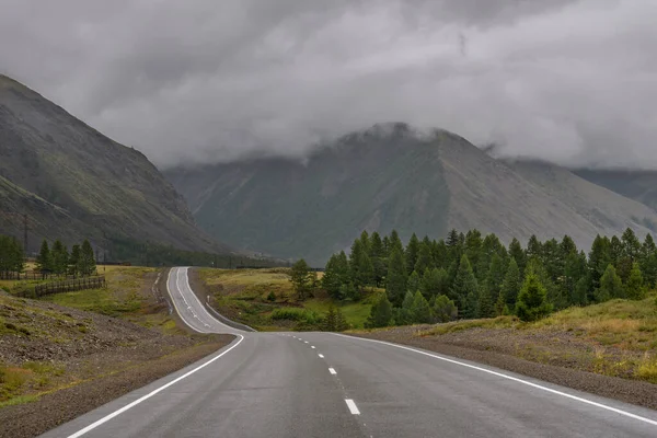 Scenic Uitzicht Natte Asfalt Kronkelende Weg Bergen Groene Lariks Tegen — Stockfoto