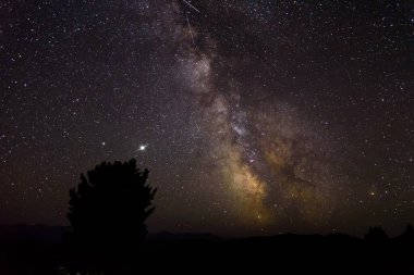 Yıldızlı gökyüzünün gece manzarası Samanyolu galaksisi, yıldızlar, bulutsular ve sedir ile dağların ön planında