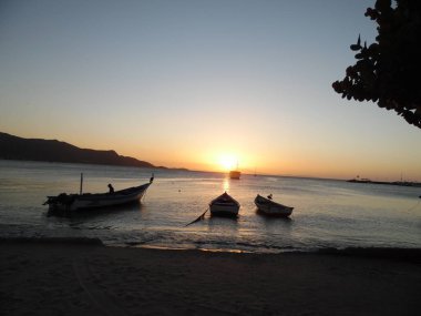 kuşlar pelikan dinlenme su günbatımı