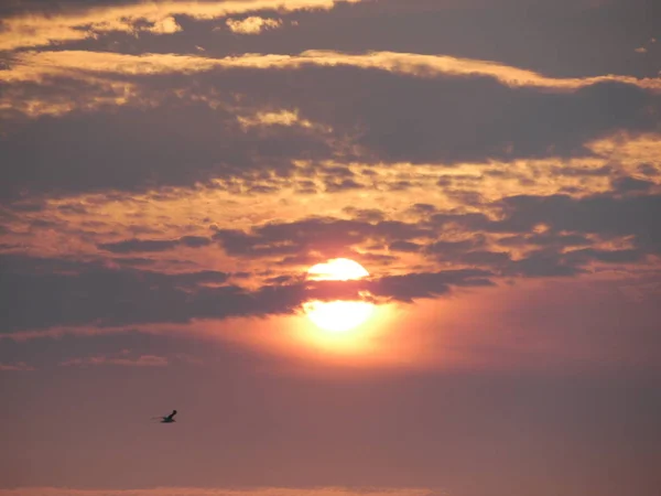 Soleil Cache Dans Les Nuages Avec Des Oiseaux Dans Coucher — Photo