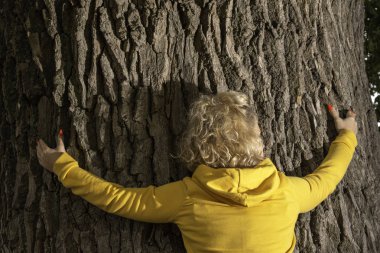 Yaşlı meşe ağacını kucaklayan kadın