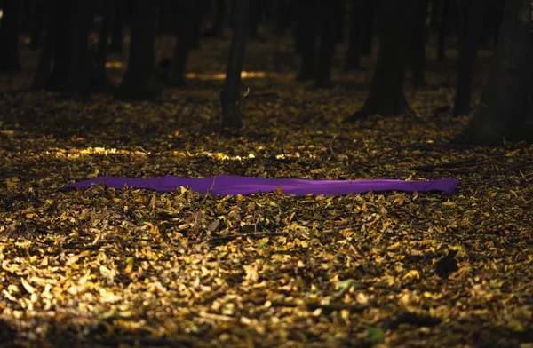 Purple yoga mat in autumn forest, yoga in nature concept