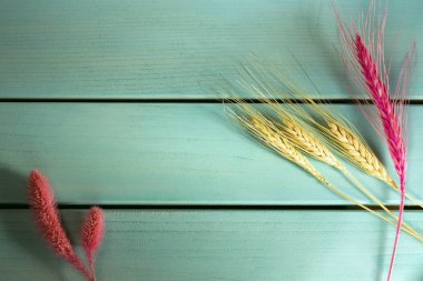 Mavi ahşap tahta arka planda buğday başak, üst görünüm ve kopya alanı görüntü