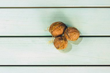 Mavi ahşap masa üzerinde Fındık, sonbahar sezonu hasat, kopya alanı ile üst görünüm görüntü