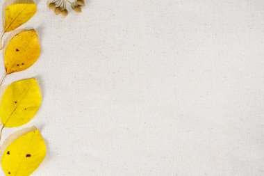 çerçeve ve sonbahar yaprakları ile vintage arka plan, yaprakları ve kopya alanı ile sonbahar dekorasyon