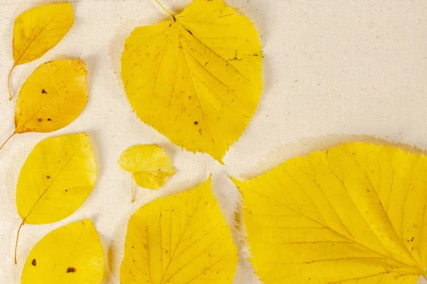 Ansicht Der Gelben Blätter Auf Vintage Hintergrund Herbstlaub Mit Kopierraum — Stockfoto