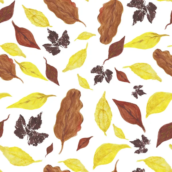 aquarelle autumn leaves isolated on white background, leaves pattern