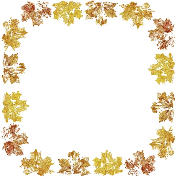 在白色的框架上隔绝着被漆成的苹果秋天的叶子 — 图库照片