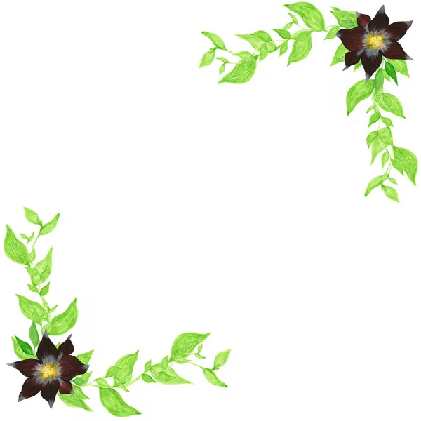 Frame Met Groene Bladeren Rode Bloemen Geïsoleerd Witte Achtergrond — Stockfoto