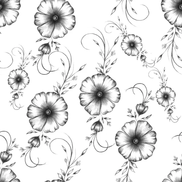 Patroon Met Potlood Getekende Bloemen Monochrome Bloemen Geïsoleerd Wit Samenstelling — Stockfoto