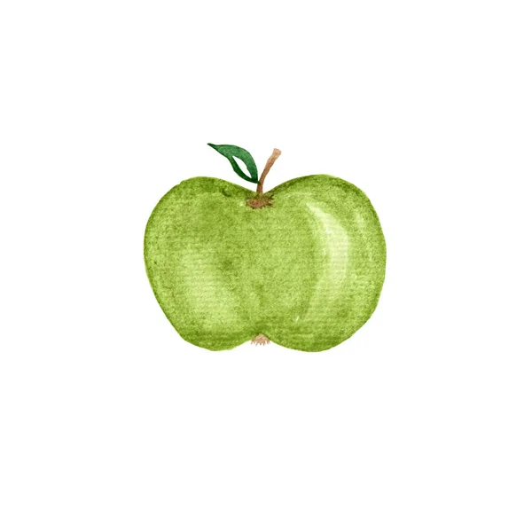 Watercolor Green Apple Leaf Isolated White Background Watercolor Fruit Painting — Stock Photo, Image