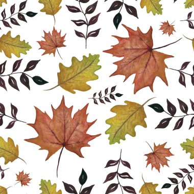 watercolor autumn leaves isolated on white background, autumn decoration seamless pattern