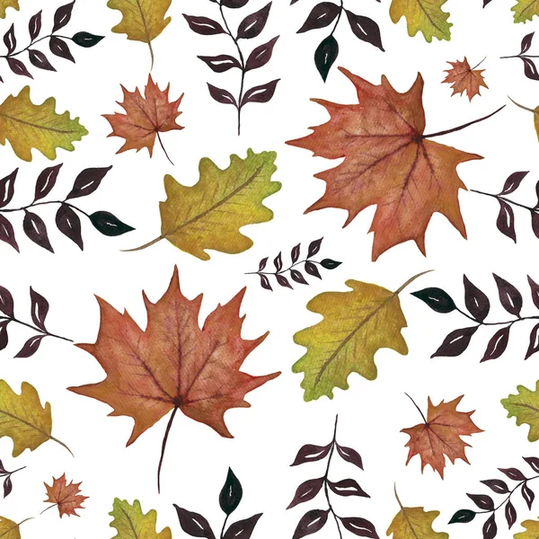 Watercolor Autumn Leaves Isolated White Background Autumn Decoration Seamless Pattern — 图库照片