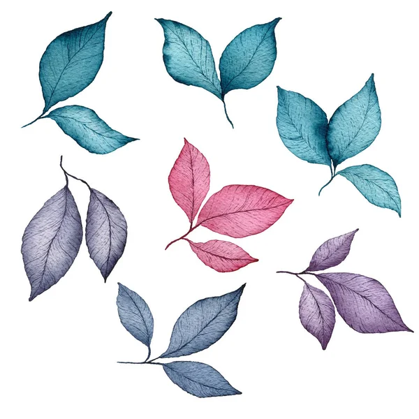 一套手绘水彩画叶 草本植物和分枝 以白色 植物剪贴画艺术为基础 配以五彩缤纷的草本设计元素 — 图库照片