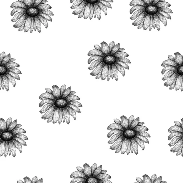 Black White Daisy Flower Seamless Pattern Vintage Wildflowers Decoration Backgrounds — Stock Photo, Image