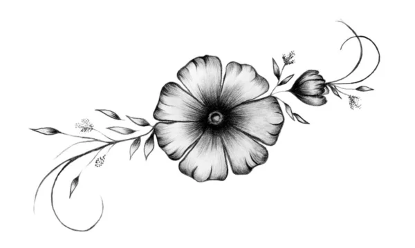 Decorazione Floreale Disegnata Mano Bianco Nero Elegante Disegno Floreale Isolato — Foto Stock