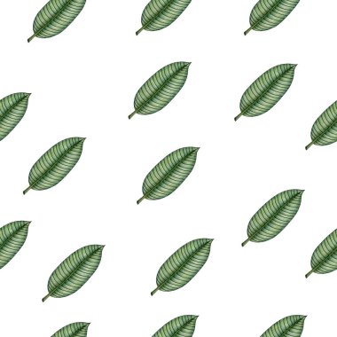 Tropikal muz yapraklı kusursuz desen, kumaş, ambalaj veya duvar kağıdı için tropikal yaz arkaplanı, sevimli el çizimleri