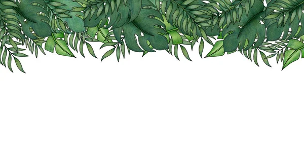 Fundo Bandeira Tropical Com Folhas Verdes Exóticas Decoração Verão Tropical — Fotografia de Stock