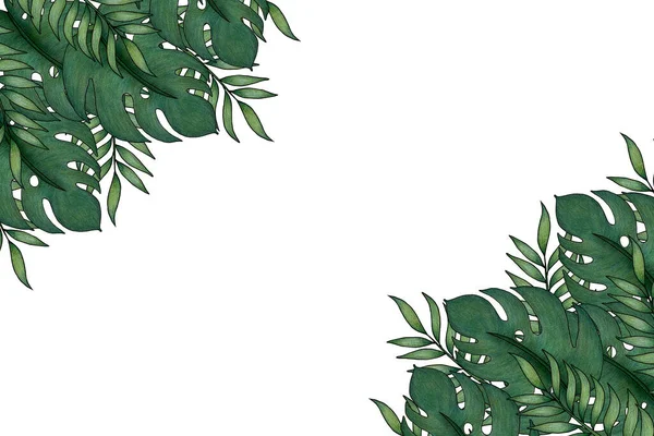 Quadro Folhas Verdes Tropicais Fundo Tropical Desenhado Mão Com Folhas — Fotografia de Stock