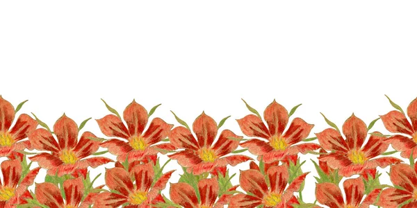 赤い花のシームレスな境界線 秋の花の背景 手描きの美しい赤い花とヴィンテージ色の鉛筆イラスト 母の日の背景 — ストック写真