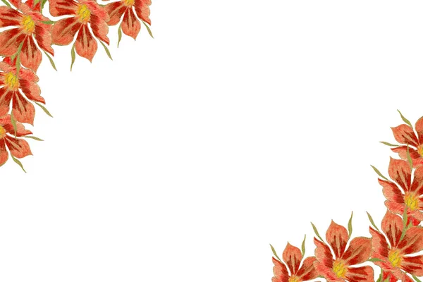 红色复古花框 秋季植物手绘红花图解 母亲节 情人节或请柬花框装饰 — 图库照片