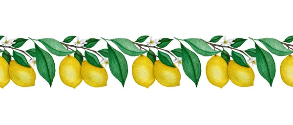 Borde Sin Costura Rama Limón Acuarela Borde Fruta Limón Ornamental —  Fotos de Stock