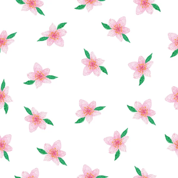 Watercolor Cherry Blossom Sakura Blossom Small Pink Flowers Seamless Pattern — Stock Photo, Image
