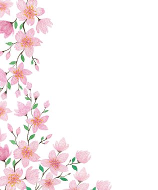 Güzel pembe kiraz çiçekleri, suluboya bahar çiçekleri ve yeşil yapraklar selamlaşma, kartlar, anneler günü, Paskalya tatili tasarımı için sınır.