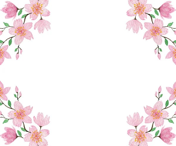 Акварель Цветок Вишни Рамка Сакура Цветок Ботаническая Иллюстрация Поздравления Открытки — стоковое фото
