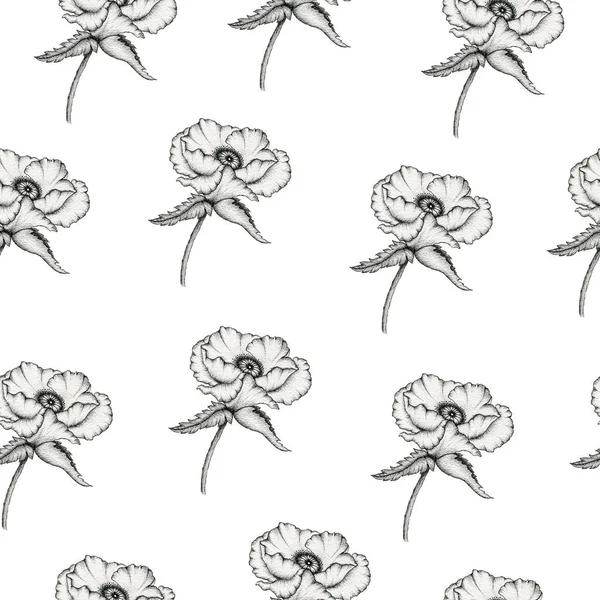 Flor Papoula Sem Costura Fundo Design Floral Preto Branco Para — Fotografia de Stock