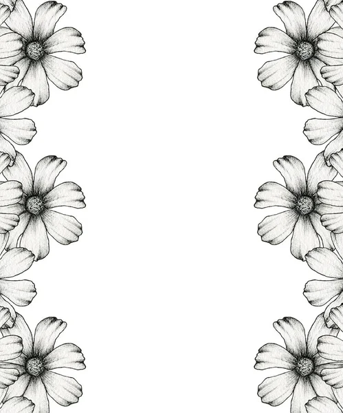 Design Quadro Floral Preto Branco Ilustração Borda Floral Cosmos Desenhado — Fotografia de Stock