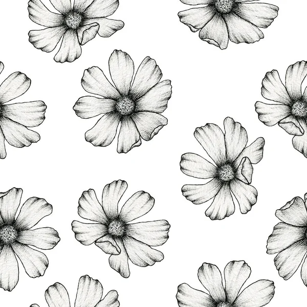 シームレスなパターンを描くコスモスの花インク ラッピングやファブリック 現実的なコスモスの花のデザインのための植物ラインアートハンドイラスト — ストック写真
