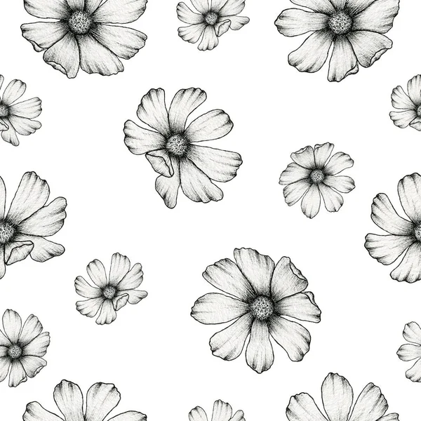 Vintage Floral Seamless Background Cosmos Flower Line Art Illustration Backgrounds — Stock Photo, Image