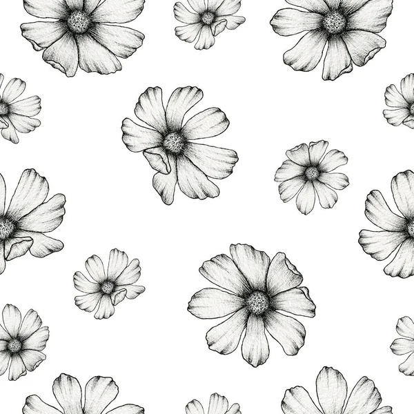 vintage floral seamless background, cosmos flower line art illustration for backgrounds, fabric or wrapping, monochrome flower textile design