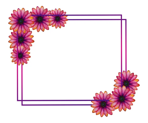 pink and purple daisy flowers frame design, hand drawn botanical illustration in vibrant pink and purple hues, floral decoration for card, invitation or mothers day