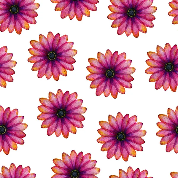 鮮やかなピンクと紫のデイジーの花とシームレスな花のパターン ファブリック ラッピングや壁紙 花のテキスタイルデザインのためのカラフルな手描きの花のイラスト — ストック写真