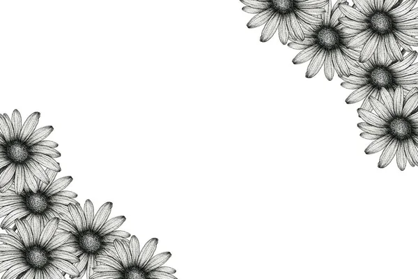 黒と白のデイジーの花の絵とヴィンテージの花のフレーム 母の日のデイジーとお祝いカードのデザイン 招待状またはグリーティングカード — ストック写真