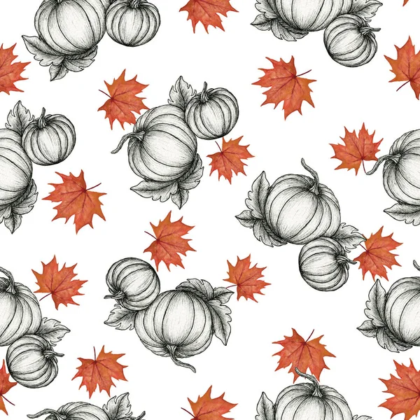 Herbstlichen Nahtlosen Hintergrund Mit Tusche Kürbiszeichnung Und Aquarell Herbstblätter Herbst — Stockfoto