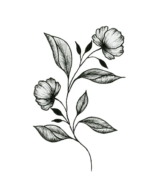 Vintage Selvagem Floral Ramo Desenho Isolado Branco Tinta Mão Desenhada — Fotografia de Stock