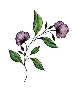 mor yabani çiçek dalı beyaza izole edilmiş, el çizimi bitki dalının mor çiçekli, çiçek desenli çizimi