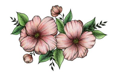 Beyaz üzerine izole edilmiş pembe şeftalili çiçek buketi kompozisyonu, logo, kartlar, anneler günü, çizgi sanatı ve renkli kalem tasarımı için el çizimi botanik çiçekleri.