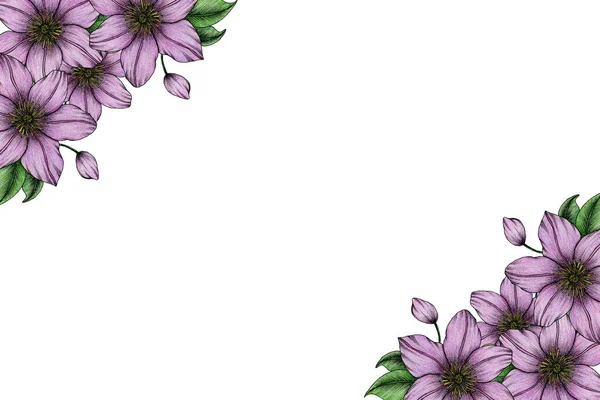 Vintage Blumenrahmen Mit Handgezeichneten Lila Clematis Blumen Blumenrahmen Design Für — Stockfoto