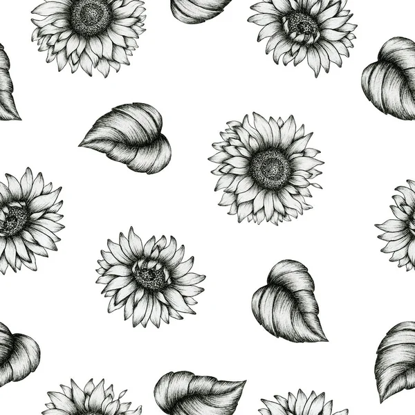 Seamless Background Sunflowers Ink Art Drawing Vintage Sunflower Decoration Fabric — Stock Photo, Image