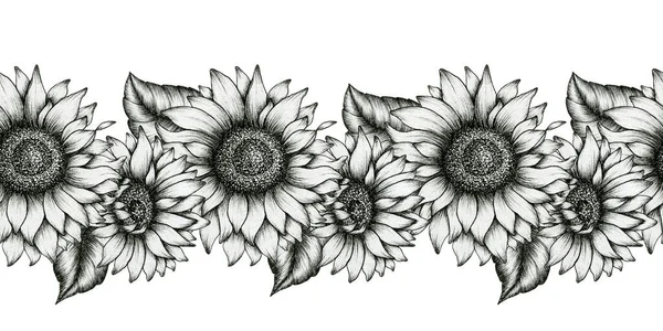 黒と白のひまわりのシームレスな境界線 現実的な野の花の装飾イラスト ひまわりインクアート 黒の花のスケッチの境界線のデザイン — ストック写真