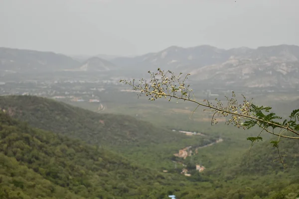 Sis arka plan ile tepenin üstünden mesafe tepelerin bir görünüm