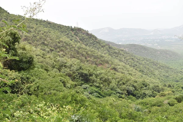 Tepenin tepesinden tepelerde yeşil orman ve gökyüzü manzarası