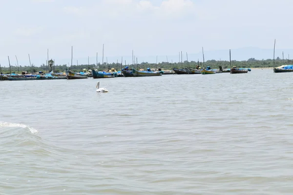 Uzun kuyruk tekne su kenarında park, bu çok bu atmosferi görmek için bir tekne yolculuğu.